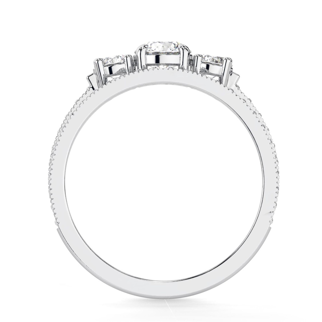 RI4888-6.333.jpg