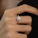 RI5212-1.jpg