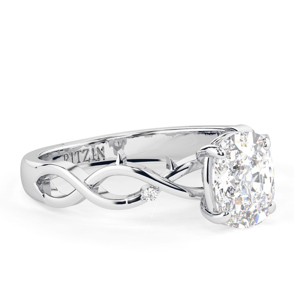 RI5421-7.159.jpg