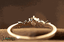 RI5705-5.png