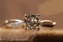 RI5775-7.jpg