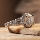 RI5985-2.JPG