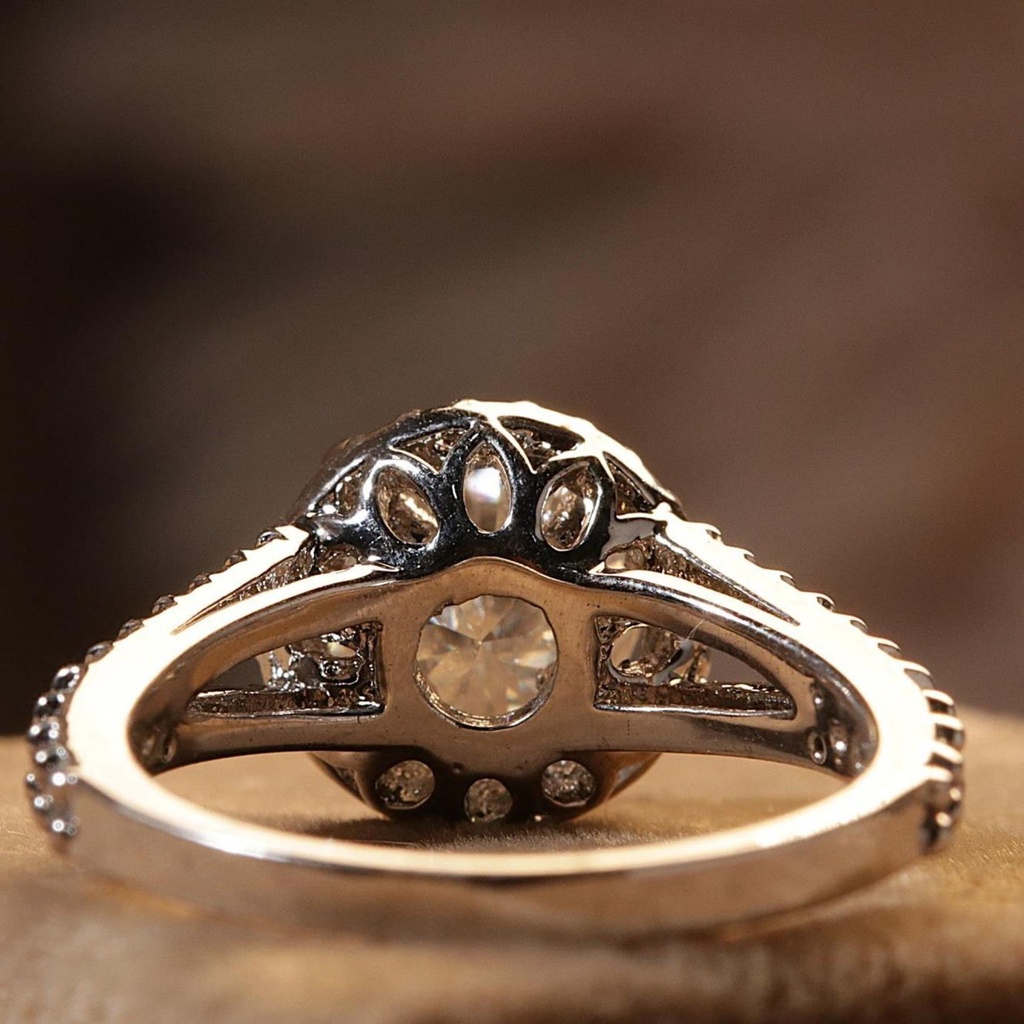 RI5985-1.JPG