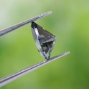 MO1883-2.jpg