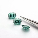 MO2533-2.jpg