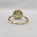RI3152-3.jpg