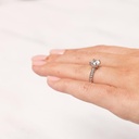 RI3739-2.jpg