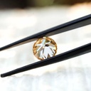 MO4395-2.jpg