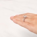 RI4002-2.jpg