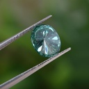 MO5124-2.jpg
