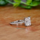 SD128-1_4000_4000 (2).jpg