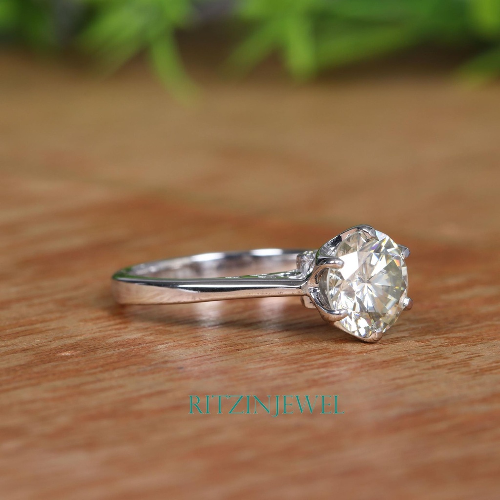 SD169-1_4000_4000 (2).jpg