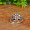 SD98-3_4000_4000 (2).jpg