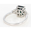 SD98-1_1000_1000 (2).jpg