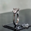 RI4600-1.jpg