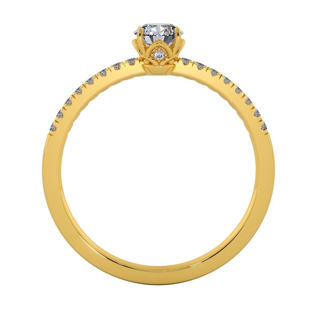 SD126_6_2000_2000 (2).jpg