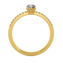 SD126_6_2000_2000 (2).jpg