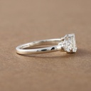 RI4616-5.jpg