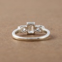 RI4616-3.jpg
