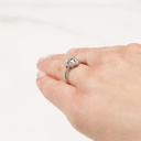 RI4631-1.jpg