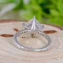 SD254 (4)_4000_4000.jpg