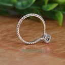 SD162-5_4000_4000 (2).jpg