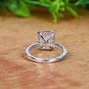 SD361 (5)_4000_4000.jpg