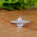 SD280 (1)_4000_4000.jpg