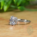 SD260 (9)_4000_4000.jpg