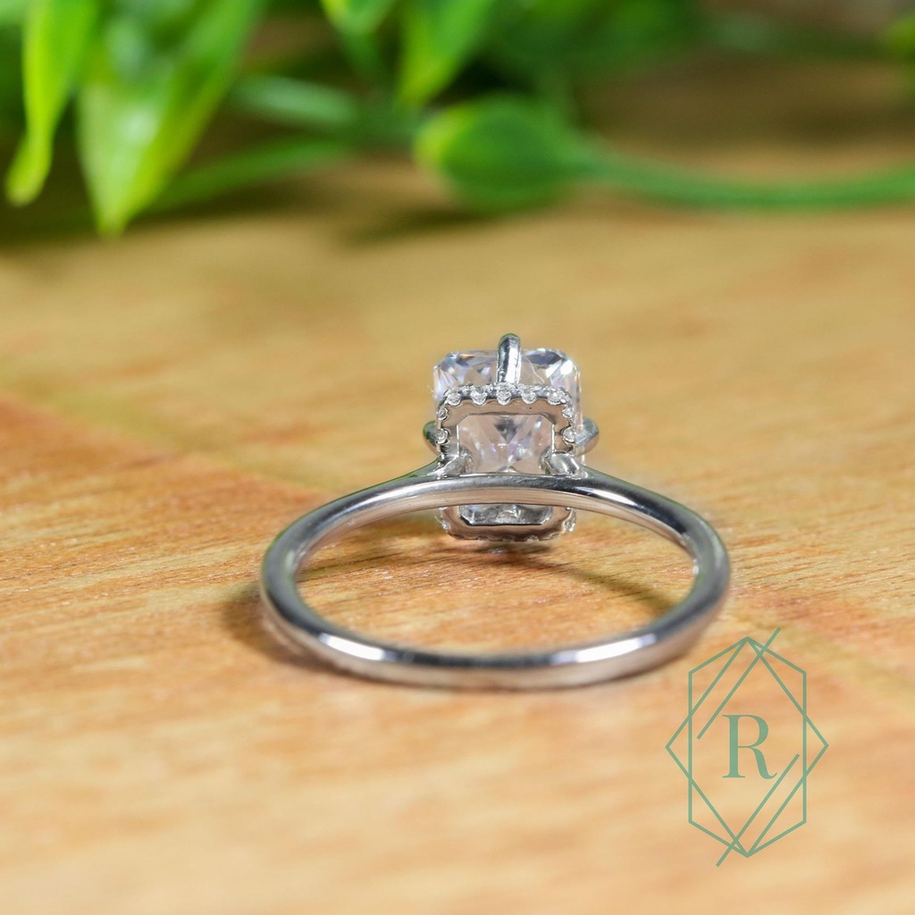 SD260 (8)_4000_4000.jpg