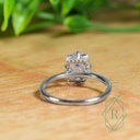 SD260 (8)_4000_4000.jpg