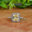 SD131_4000_4000 (2).jpg