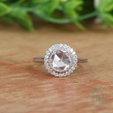 SD257 (1)_4000_4000.jpg