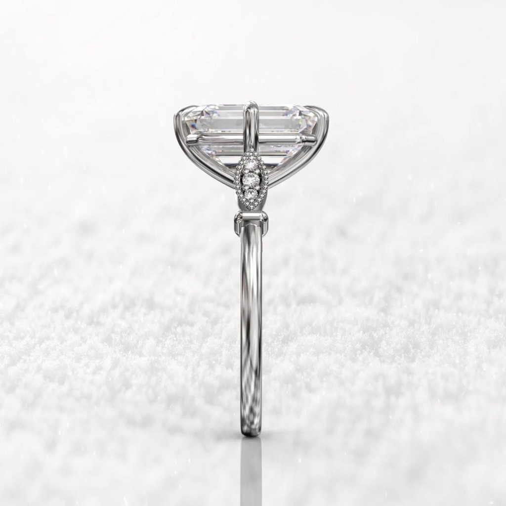 RI4816-3.jpg