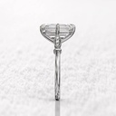 RI4816-3.jpg