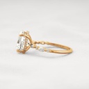 RI4871-4.jpg