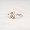 RI4871-3.jpg