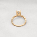 RI4878-2.jpg