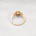 RI4881-2.jpg