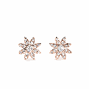 Round Diamond Stud Fancy Earrings for Women