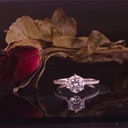 Round Stone Hidden Halo Engagement Rings