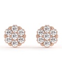 Round Cut Diamond Hidden Halo Floral Earrings For Women