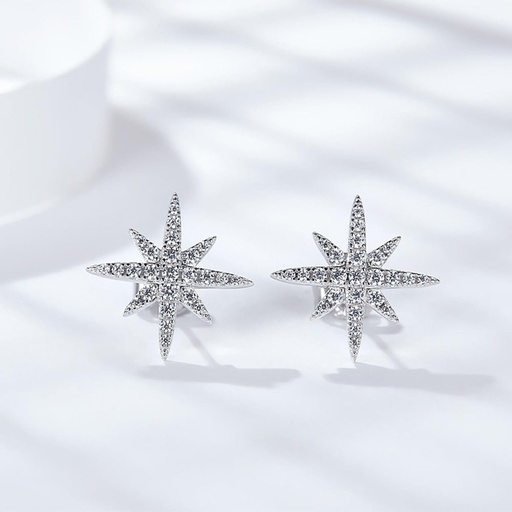 Stone Star Earrings For Women